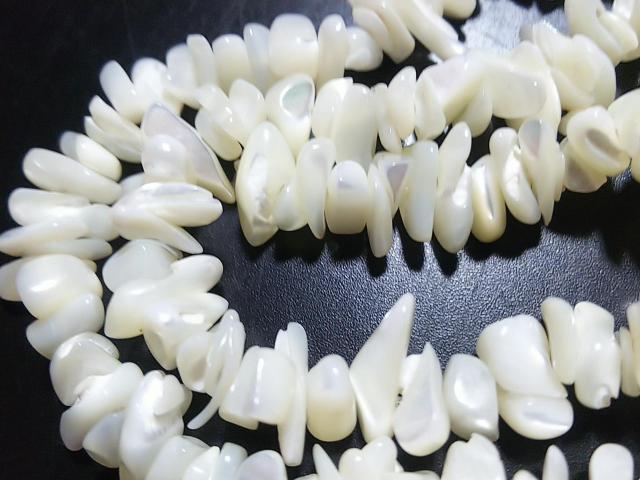 �V�R�΁��l�n�o�@������@�P�A �� �����A�N�Z�T���[/���v�� 