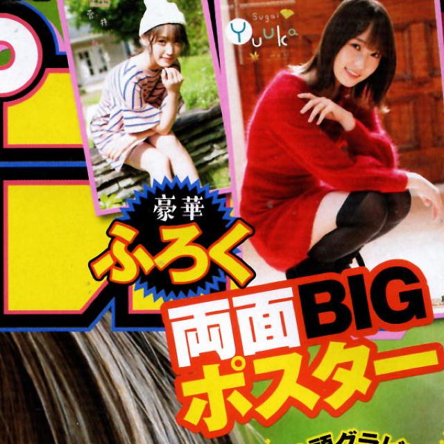 菅井友香 欅坂46時代 両面BIGポスター 少年チャンピオン < タレントグッズ  菅井友香 欅坂46時代 両面BIGポスター 少年チャンピオン  < タレントグッズの