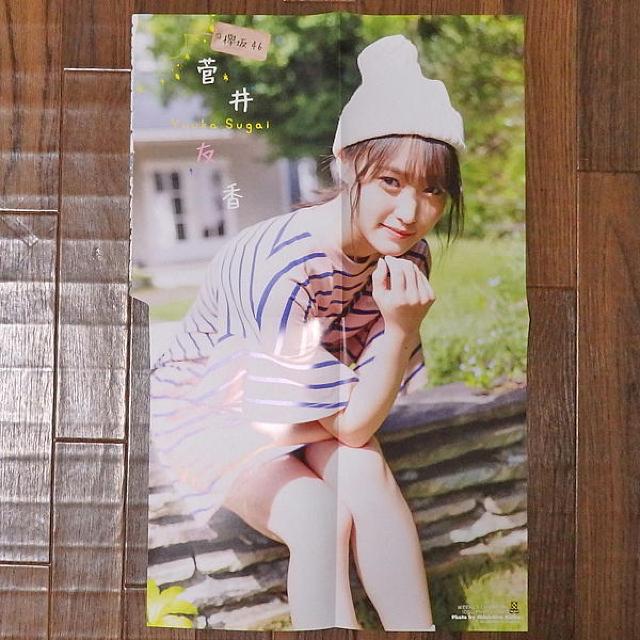 菅井友香 欅坂46時代 両面BIGポスター 少年チャンピオン < タレントグッズ  菅井友香 欅坂46時代 両面BIGポスター 少年チャンピオン < タレントグッズの