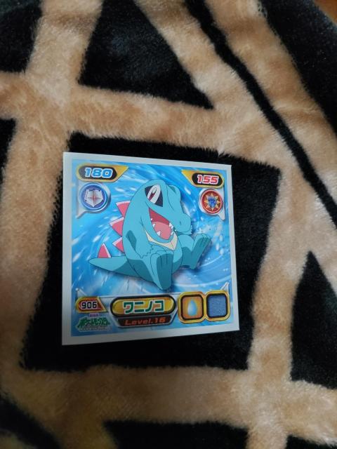 ポケモンシール◆2009ピカチュウプロジェクト◆ワニノコ < アニメ/コミック/キャラクター  ポケモンシール◆2009ピカチュウプロジェクト◆ワニノコ  < アニメ/コミック/キャラクターの