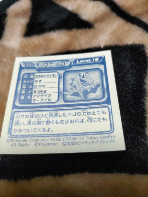 ポケモンシール◆2009ピカチュウプロジェクト◆ワニノコ < アニメ/コミック/キャラクター  ポケモンシール◆2009ピカチュウプロジェクト◆ワニノコ < アニメ/コミック/キャラクターの