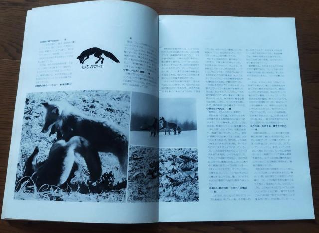 「キタキツネ物語 」東宝サンリオ 1978 映画パンフレット 半券付き 当時物 < ホビー  「キタキツネ物語 」東宝サンリオ 1978 映画パンフレット 半券付き 当時物 < ホビーの