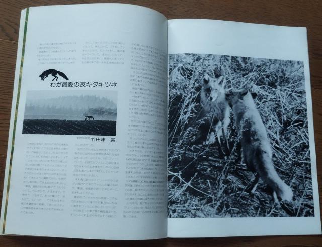 「キタキツネ物語 」東宝サンリオ 1978 映画パンフレット 半券付き 当時物 < ホビー  「キタキツネ物語 」東宝サンリオ 1978 映画パンフレット 半券付き 当時物 < ホビーの