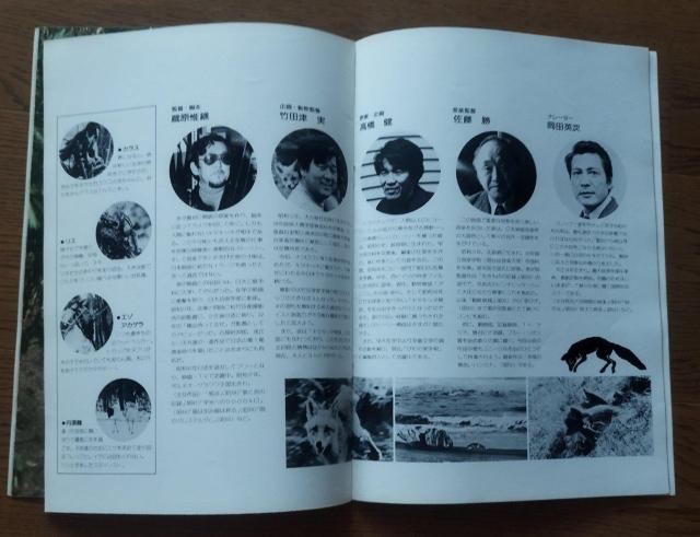 「キタキツネ物語 」東宝サンリオ 1978 映画パンフレット 半券付き 当時物 < ホビー  「キタキツネ物語 」東宝サンリオ 1978 映画パンフレット 半券付き 当時物 < ホビーの