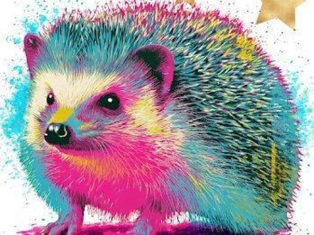 nCNIeB[ TVc |bvA[g  AEghAJWA  bNXAj} O  t@bV 