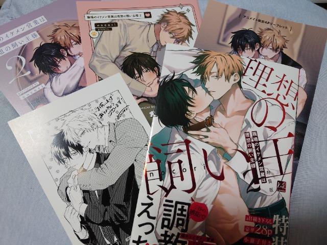 BL���X�}���s�������q�Q���E���[�t���b�g�t�y�����Ł@�E��̃C�P�����c�Ƃ͗��z�̎�����l�A�znocori  �� �A�j��/�R�~�b�N/�L�����N�^�[�� 