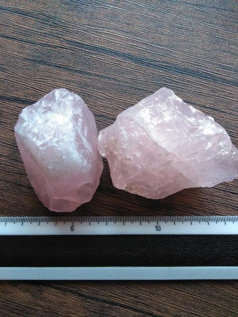 ���[�Y�N�H�[�c��Z�b�g�@����  �� �C���e���A/���C�t�� 