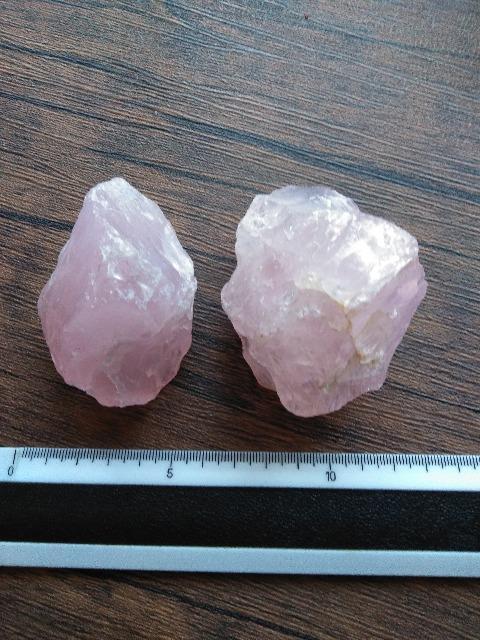 ���[�Y�N�H�[�c��Z�b�g�@���� �� �C���e���A/���C�t�� 