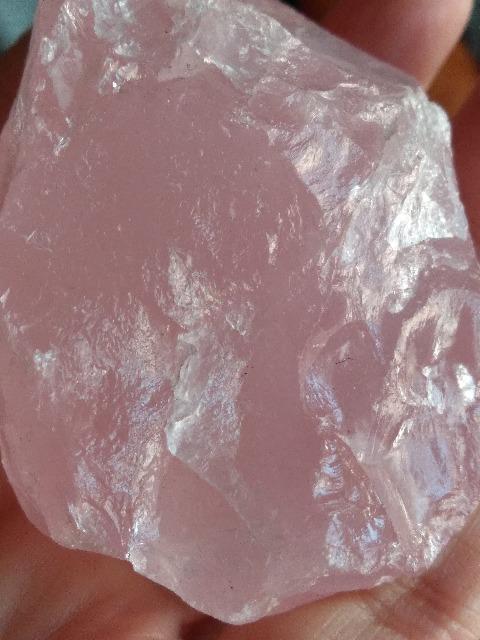 ���[�Y�N�H�[�c��Z�b�g�@���� �� �C���e���A/���C�t�� 