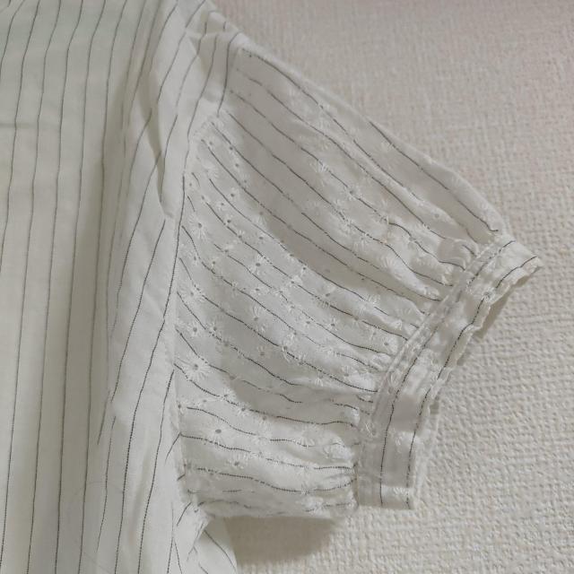 XgCv t  gbvX M  t@bV 