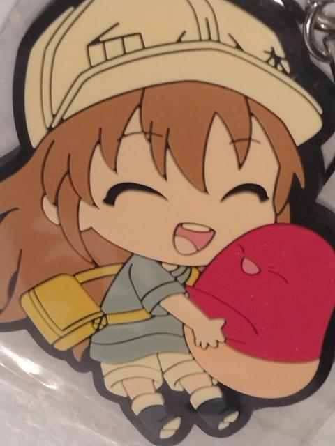 ͂炭זE  ނƃo[Xgbv  Aj/R~bN/LN^[ 