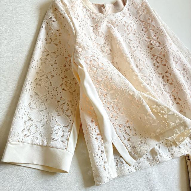 �����i��epidemique���J�b�g���[�N���[�X�u���E�X���W���K�[�h���A�C�{���[ �� �����t�@�b�V������ 