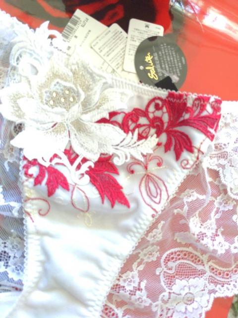 salute/T[g/X܌/78G/̕/m[}X^_[hV[c/M/WH//@  t@bV 