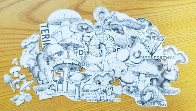 モノクロ キノコ柄/シール/コラージュなど < インテリア/ライフ  モノクロ キノコ柄/シール/コラージュなど  < インテリア/ライフの