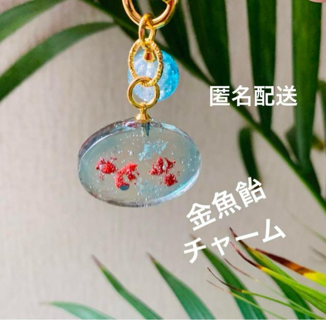 金魚 飴 チャーム 送料無料 < 女性ファッション  金魚 飴 チャーム 送料無料 < 女性ファッションの