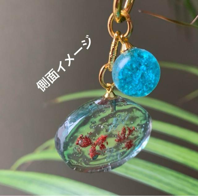 金魚 飴 チャーム 送料無料 < 女性ファッション  金魚 飴 チャーム 送料無料 < 女性ファッションの