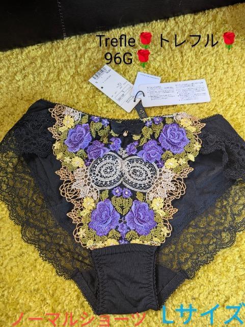 Wacoal/R[/Trefle/gt/96G/KN̒뉀/o̒뉀/X^_[hV[c/m[}V[c/L/  t@bV 