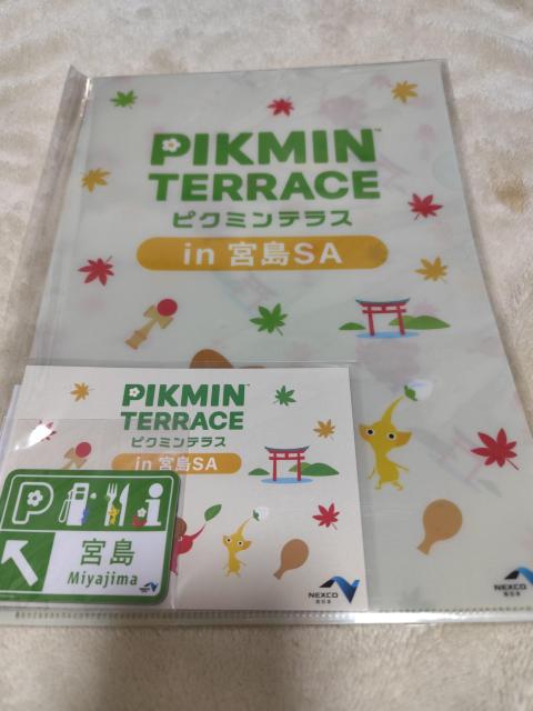 ピクミンテラス 宮島SA限定 クリアファイル ポストカード マグネット < アニメ/コミック/キャラクター ピクミンテラス 宮島SA限定 クリアファイル ポストカード マグネット < アニメ/コミック/キャラクターの