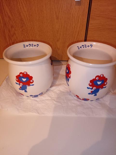 �~���N�~���N  �� �C���e���A/���C�t�� 