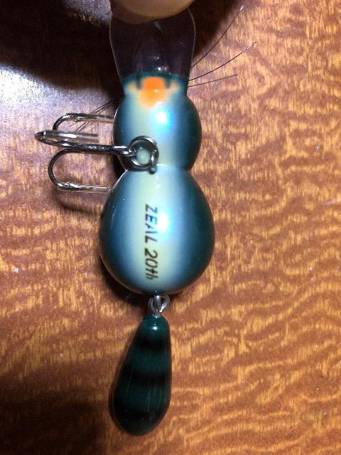 ズイール アライ君 亀 < レジャー/スポーツ ズイール アライ君 亀 < レジャー/スポーツの