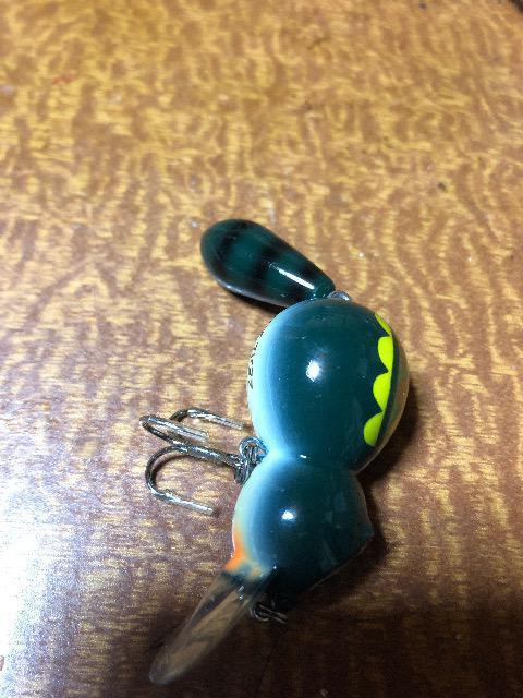 ズイール アライ君 亀 < レジャー/スポーツ ズイール アライ君 亀 < レジャー/スポーツの