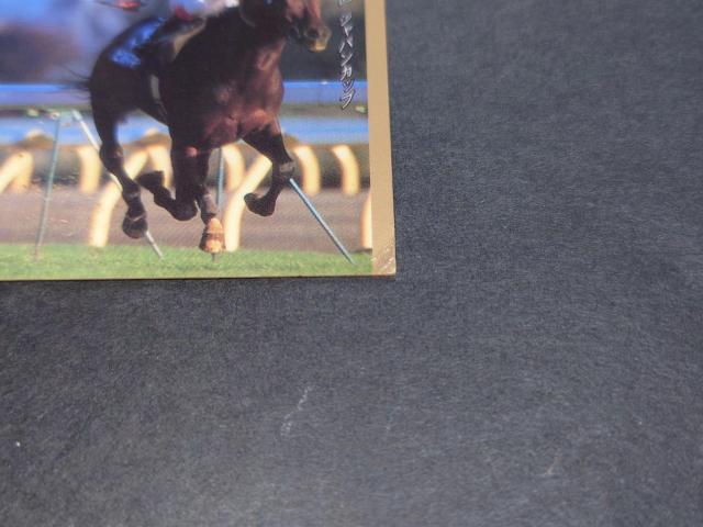 BANDAI サラブレッドカード 06 ピルサドスキー 第17回 ジャパンカップ / 競馬 JRA < トレーディングカード BANDAI サラブレッドカード 06 ピルサドスキー 第17回 ジャパンカップ / 競馬 JRA < トレーディングカードの