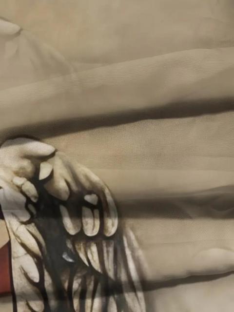 Xi690~XeCnC A[O[ C[O OtBbN TVc@tr`TCYri{TCYkj