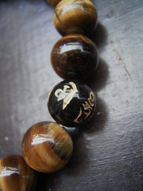 ^CK[ACuXbg  jANZT[/v 