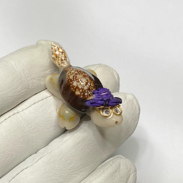 《置物No.496》天然貝 亀 幸福 シェル < インテリア/ライフ  《置物No.496》天然貝 亀 幸福 シェル  < インテリア/ライフの