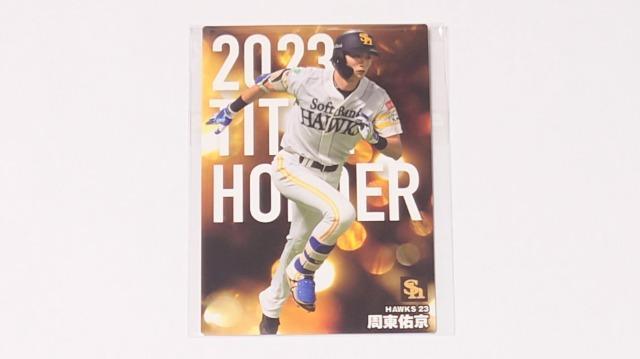 2024プロ野球チップス★カード【ソフトバンク】 < トレーディングカード  2024プロ野球チップス★カード【ソフトバンク】 < トレーディングカードの