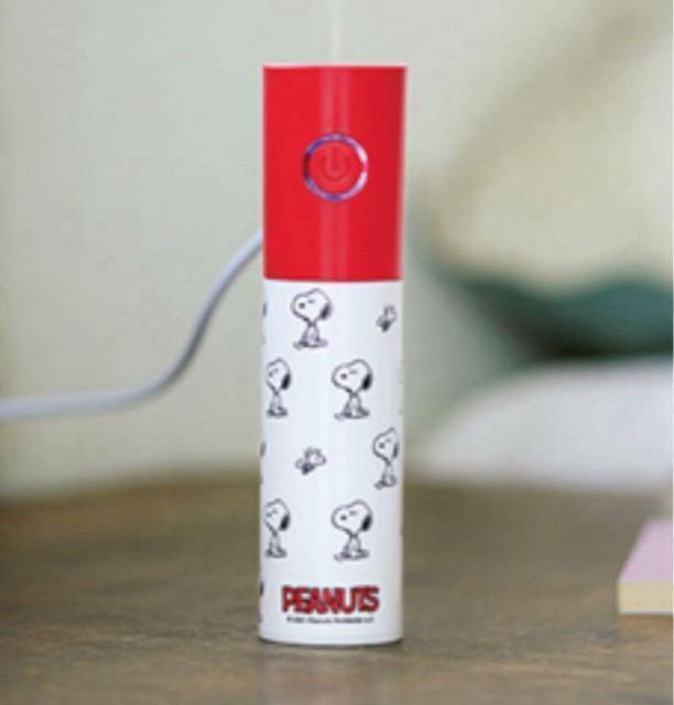 SPRiNGGt^Xk[s[ɕȂIRpNgUSB 