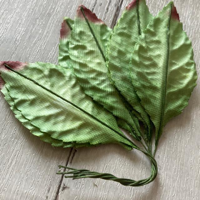 ☆クラフト素材・ワイヤー仕上げ・葉っぱ(大)7枚 < ペット/手芸/園芸 ☆クラフト素材・ワイヤー仕上げ・葉っぱ(大)7枚 < ペット/手芸/園芸の