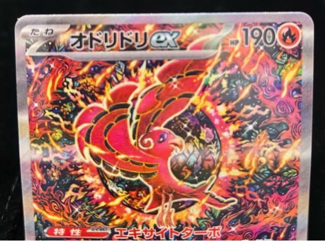 �y�ɔ��i�z�I�h���h��ex SAR 111/080 �|�P�J �|�P�����J�[�h �_�c���� M2 �����A �� �g���[�f�B���O�J�[�h�� 