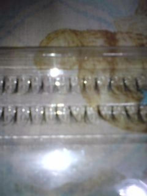 ポイント用つけまつ毛30束激安 ツケマ マツゲ < 香水/コスメ/ネイル  ポイント用つけまつ毛30束激安 ツケマ マツゲ < 香水/コスメ/ネイルの