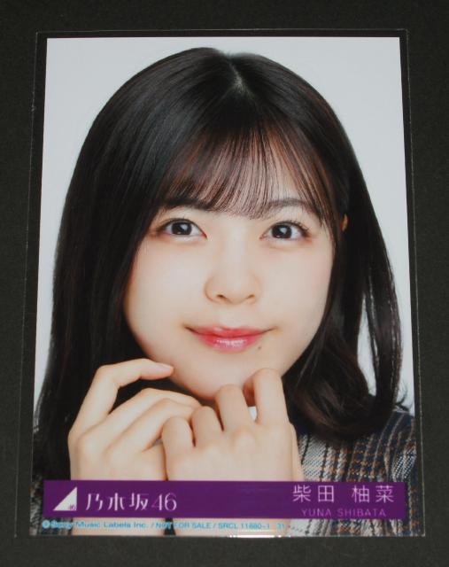 乃木坂46 君に叱られた 生写真1枚 柴田柚菜 < タレントグッズ  乃木坂46 君に叱られた 生写真1枚 柴田柚菜  < タレントグッズの