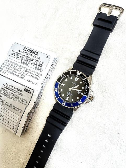 VigpCASIO_Co[vNI[cYpBғi 