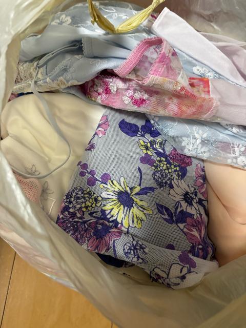 ルジェ(L’ge)×Wacoal 100,000円相当...!!10枚セット! < 女性ファッション ルジェ(L’ge)×Wacoal 100,000円相当...!!10枚セット! < 女性ファッションの