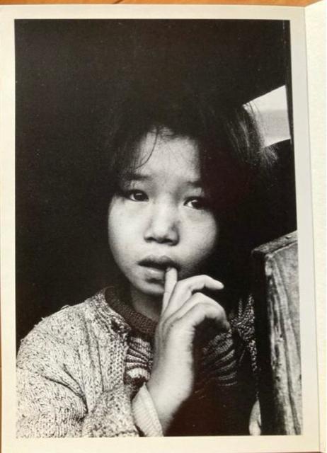 �y�匝�̓��{�@��O�E���E���a�̂��ǂ������@�|�X�g�J�[�h24���Z�b�g 2�ꊇ(�������m) �V�i �v48��(�{�̗l�ɕБ����\�荞) �� �z�r�[�� 