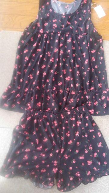 LTCY![Y!fG\tgȔG!㉺[EFA[!肰Ȃt 