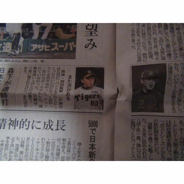 _VSIbNX {V[Y3 _2023N111 !B  zr[ 