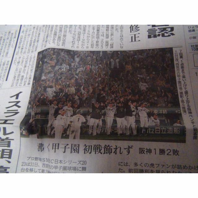 _VSIbNX {V[Y3 _2023N111 !B  zr[ 