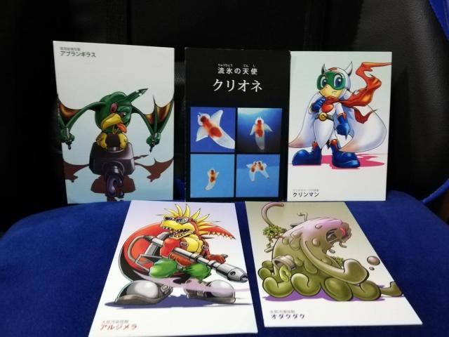 y|XgJ[hzNIl}[N ی쐄ic@5Zbg   zr[ 