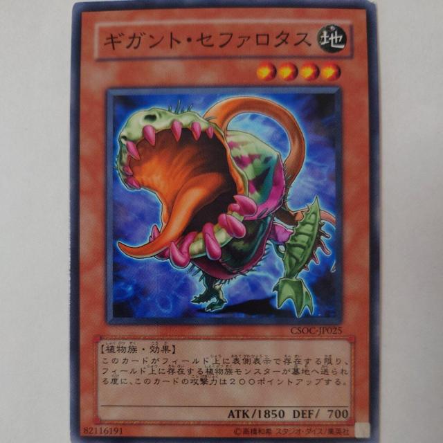 遊戯王 ギガント・セファロタス ノーマル < トレーディングカード  遊戯王 ギガント・セファロタス ノーマル  < トレーディングカードの