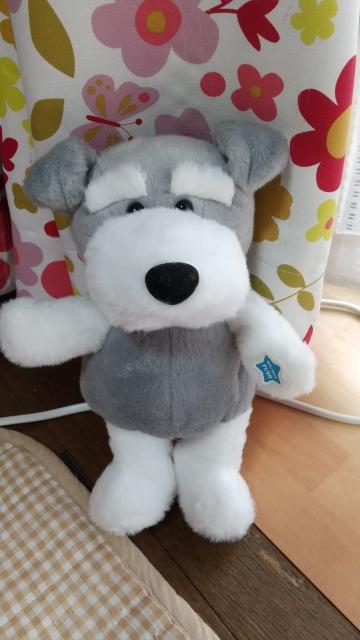 シュナウザーのダンシングギミック < おもちゃ シュナウザーのダンシングギミック < おもちゃの