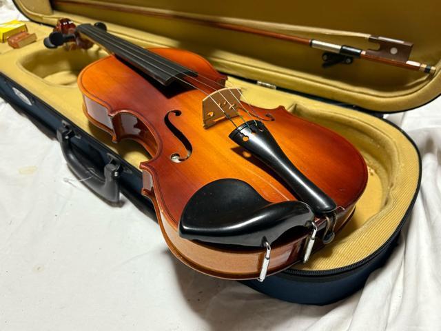 Bestler �o�C�I�����@��C�@4/4��p�P�[�X�t���@�Ǖi 1915-03-1 �� �z�r�[�� 