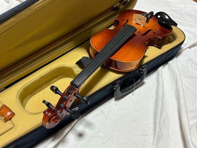 Bestler �o�C�I�����@��C�@4/4��p�P�[�X�t���@�Ǖi 1915-03-1 �� �z�r�[�� 