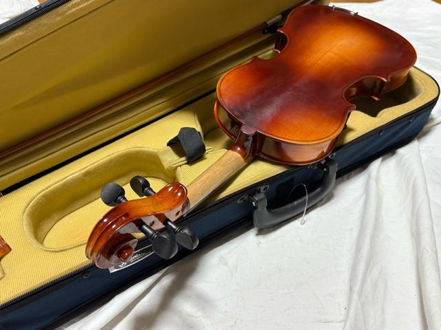 Bestler �o�C�I�����@��C�@4/4��p�P�[�X�t���@�Ǖi 1915-03-1 �� �z�r�[�� 