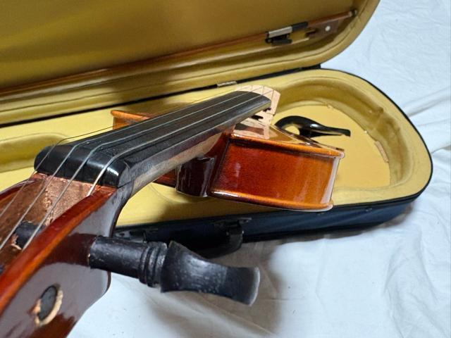 Bestler �o�C�I�����@��C�@4/4��p�P�[�X�t���@�Ǖi 1915-03-1 �� �z�r�[�� 