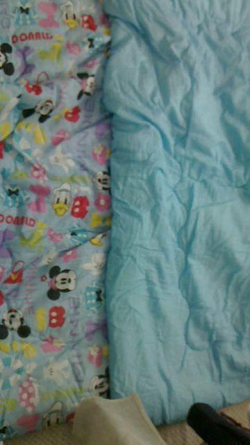 ディズニー仲間たち肌布団140×190p < ホビー  ディズニー仲間たち肌布団140×190p < ホビーの