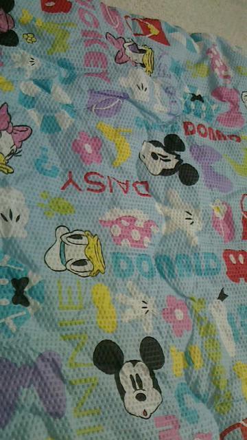 ディズニー仲間たち肌布団140×190p < ホビー  ディズニー仲間たち肌布団140×190p < ホビーの